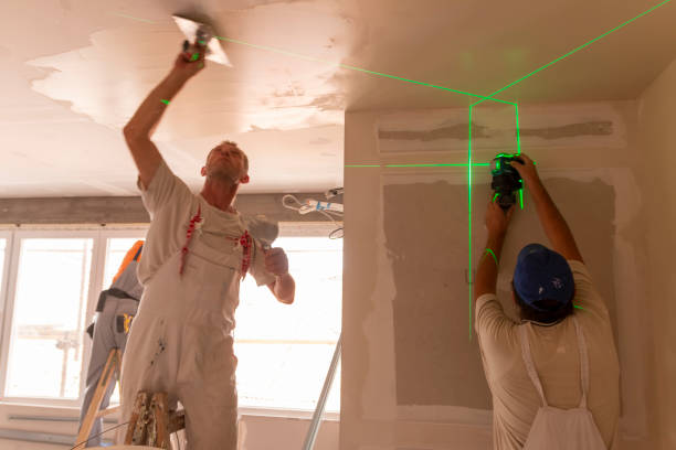 Best Custom Drywall Patching  in USA