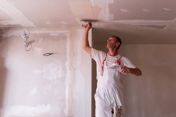 Best Residential Painting Experts  in USA